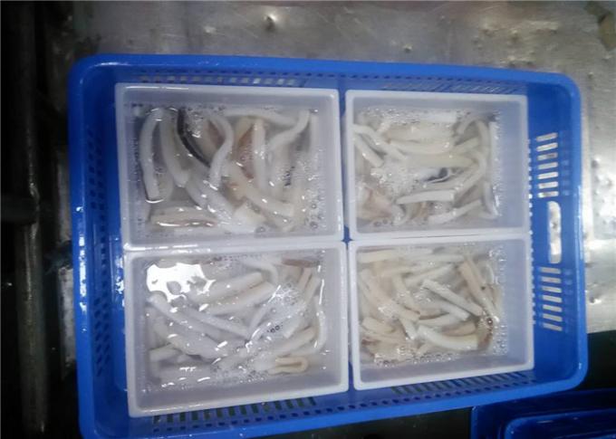 Fresh Seafood Bulk 20g 30g Peru Strips Frozen Giant Squid