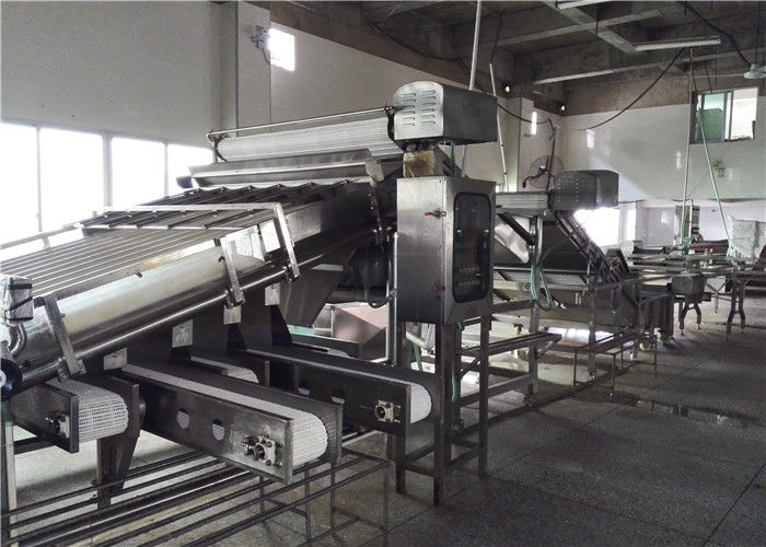 Xiamen Tongzhonghe Imp & Exp Co., Ltd. manufacturer production line