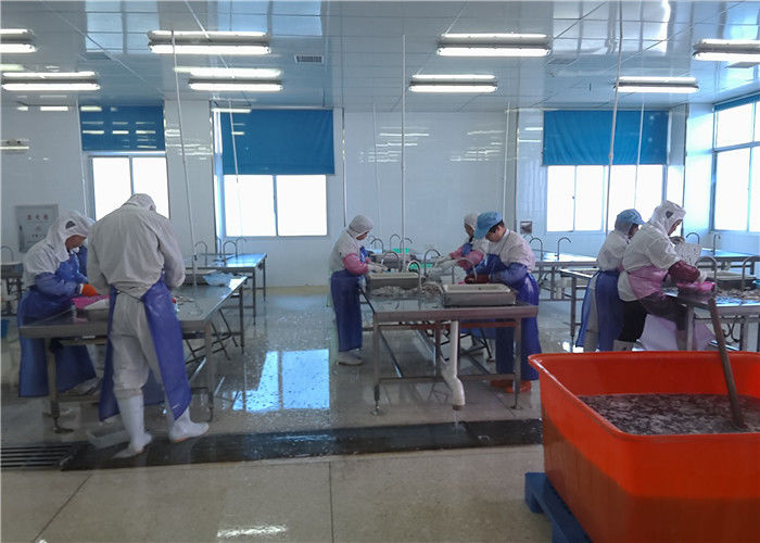 Xiamen Tongzhonghe Imp & Exp Co., Ltd. manufacturer production line