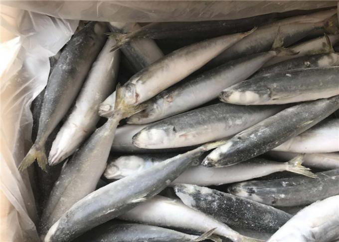Healthy Gutted Shape 60g 80g Frozen Sea Fishing Bait