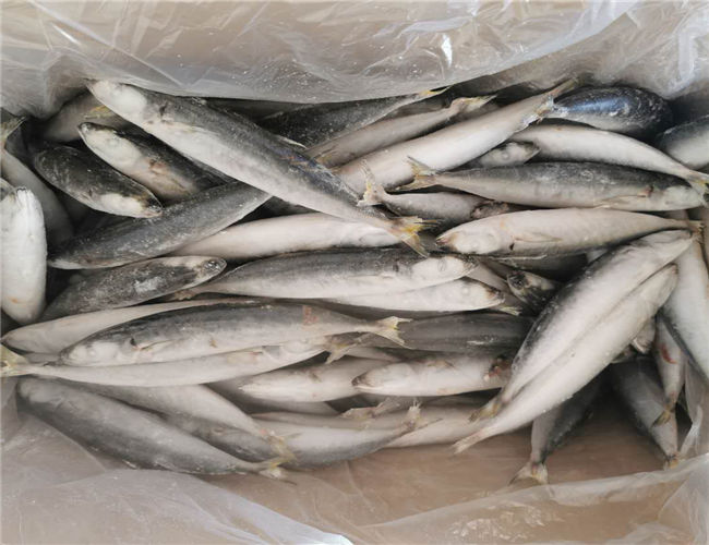 90g 100g IQF Frozen Whole Muroaji Fish HACCP Approved